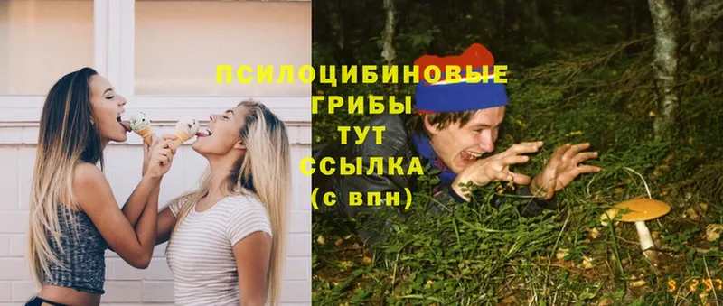 omg ссылка  Билибино  Галлюциногенные грибы Cubensis  сколько стоит 